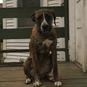 Meet your Posher, Tim